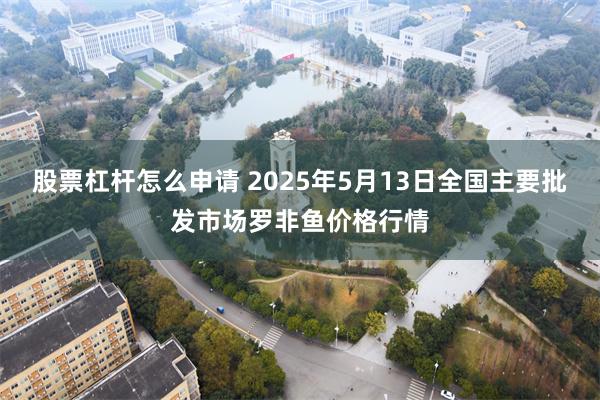 股票杠杆怎么申请 2025年5月13日全国主要批发市场罗非鱼价格行情