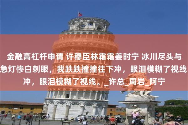 金融高杠杆申请 许穆臣林霜霜姜时宁 冰川尽头与你诀别 楼梯间的应急灯惨白刺眼，我跌跌撞撞往下冲，眼泪模糊了视线。_许总_周岩_阿宁