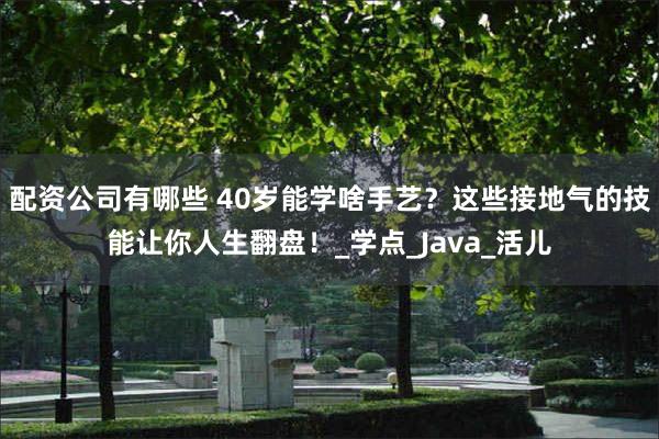 配资公司有哪些 40岁能学啥手艺？这些接地气的技能让你人生翻盘！_学点_Java_活儿