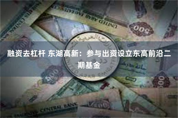 融资去杠杆 东湖高新：参与出资设立东高前沿二期基金